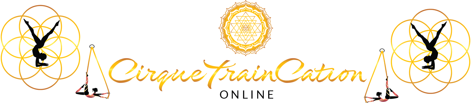 CirqueTrainCation Online Course